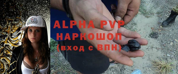 твердый Абаза
